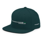 classic-snapback-spruce-left-front-604ccb78aa831